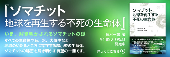 ���c�S�炳���^�̏��Ёu�\�}�`�b�g �n�����Đ�����s���̐����́v