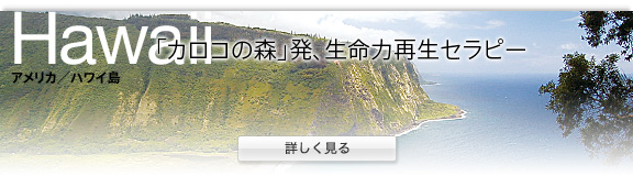 �A�����J/�n���C��